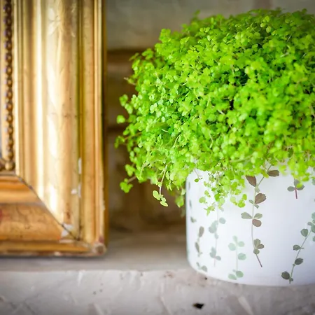 La Dame De Coeur Deauville, Maison D'hotes-b&b 4*