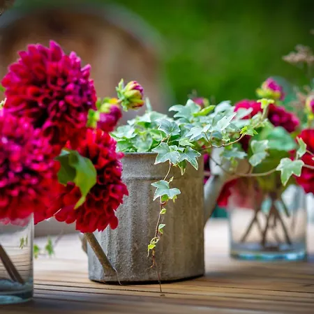 La Dame De Coeur Deauville, Maison D'hotes-b&b 4* Touques