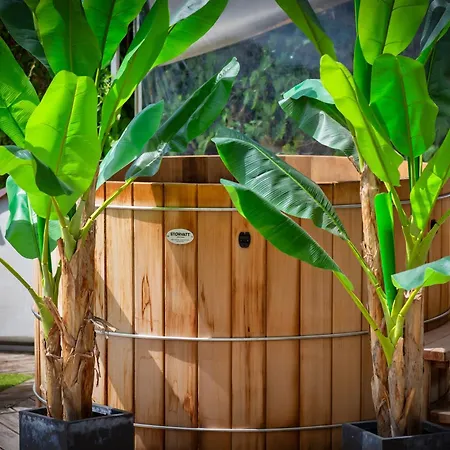 La Dame De Coeur Deauville, Maison D'hotes-b&b Bed and breakfast Touques