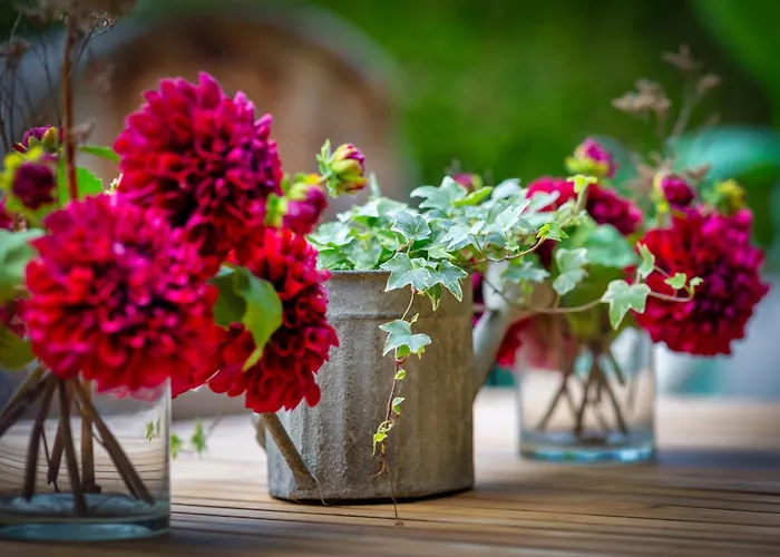 La Dame De Coeur Deauville, Maison D'hotes-b&b 4* トゥック