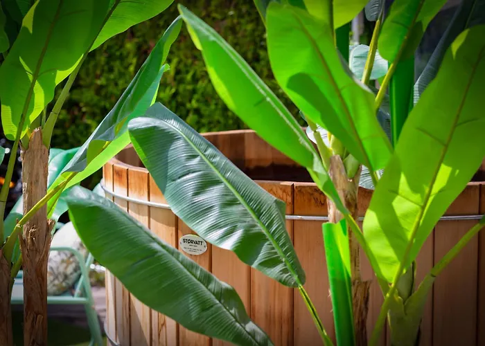 ベッド・アンド・ブレックファスト La Dame De Coeur Deauville, Maison D'hotes-b&b 4*