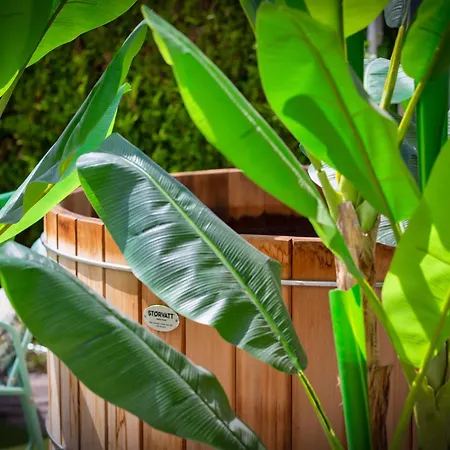 Frühstückspension La Dame De Coeur Deauville, Maison D'hotes-b&b 4*